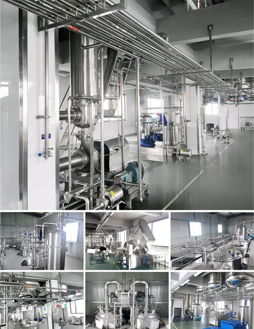 全自动茄子皮饮料生产线与每日10吨山楂汁加工设备的创新应用——中意隆机械设备解决方案