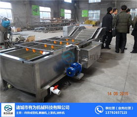 优选红薯清洗机 天津有为食品机械公司的专业设备